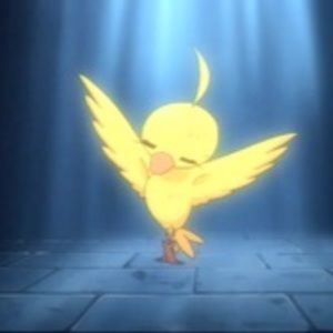 Meet your Posher, Lindsey